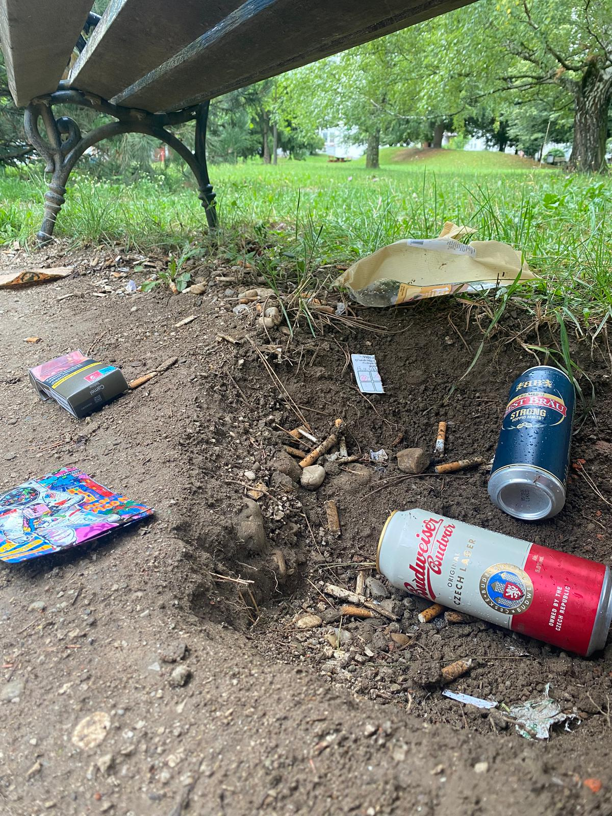TrashTrek before cleanup - Woodland Area with scattered trash and litter